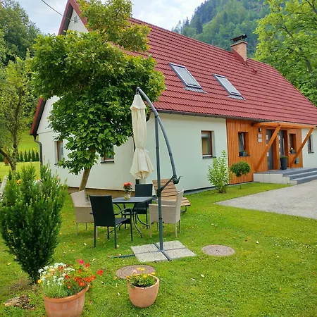 Apartmaji Pri Dravi Podvelka Exterior photo