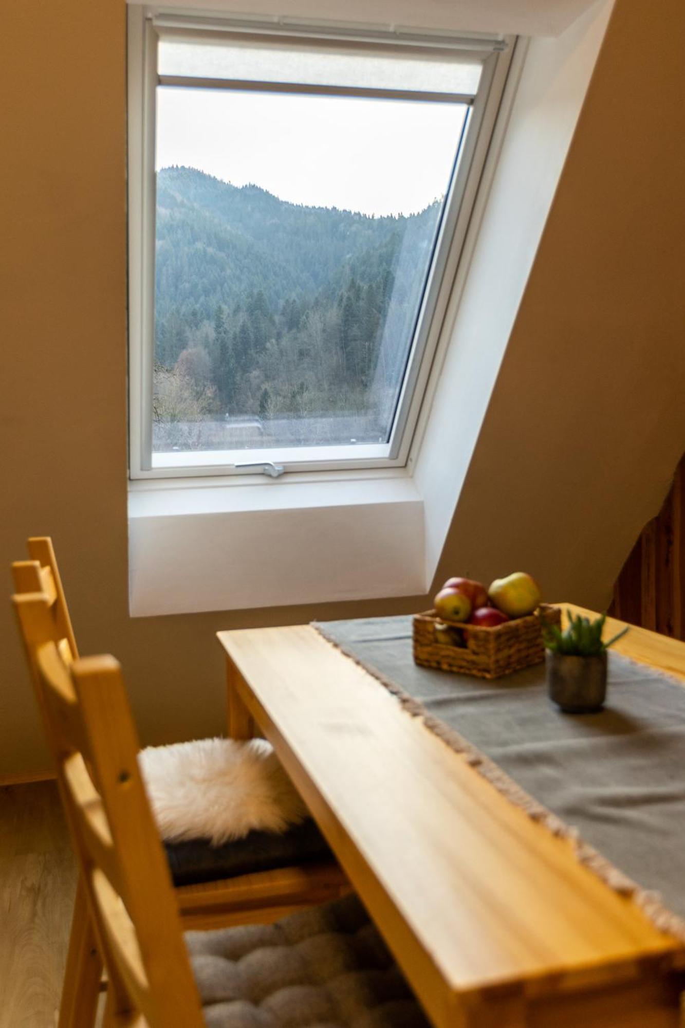 Apartment Apartmaji Pri Dravi